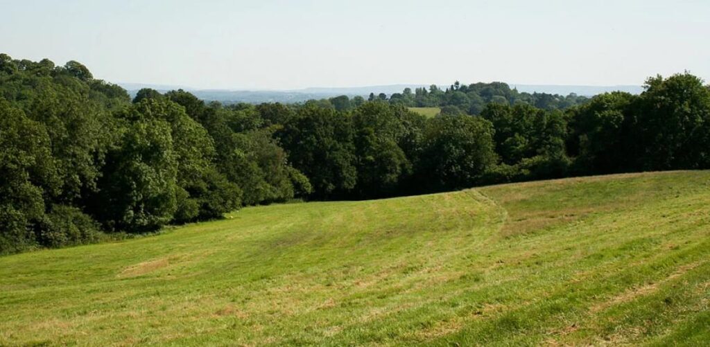 Wild campsites in West Sussex