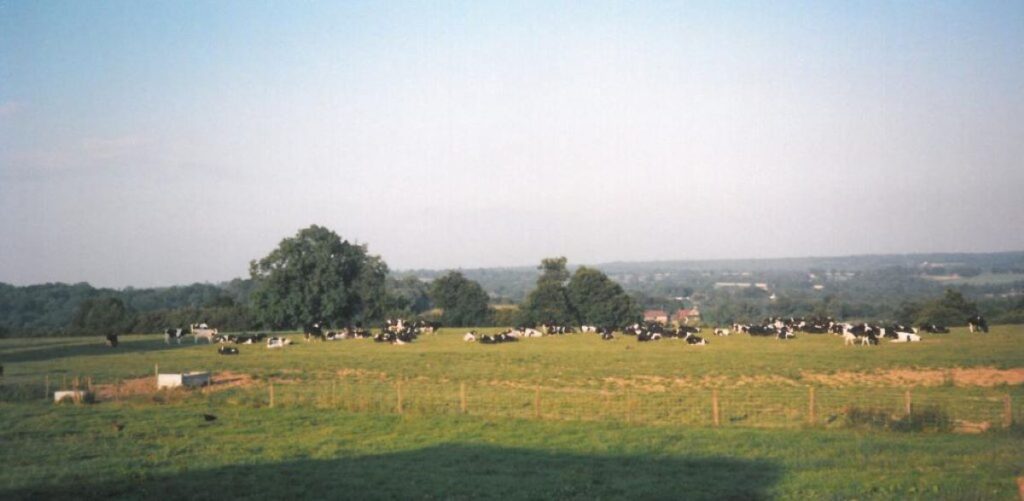 Family Campsites in Sussex